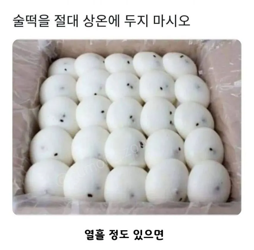 3551663217_DUdk72zF_0C5GQZIn4MABqpEK.jpeg.webp