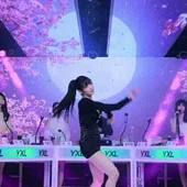 아이콘