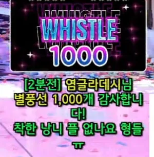 캡처_2025_05_23_13_14_42_141.png.webp