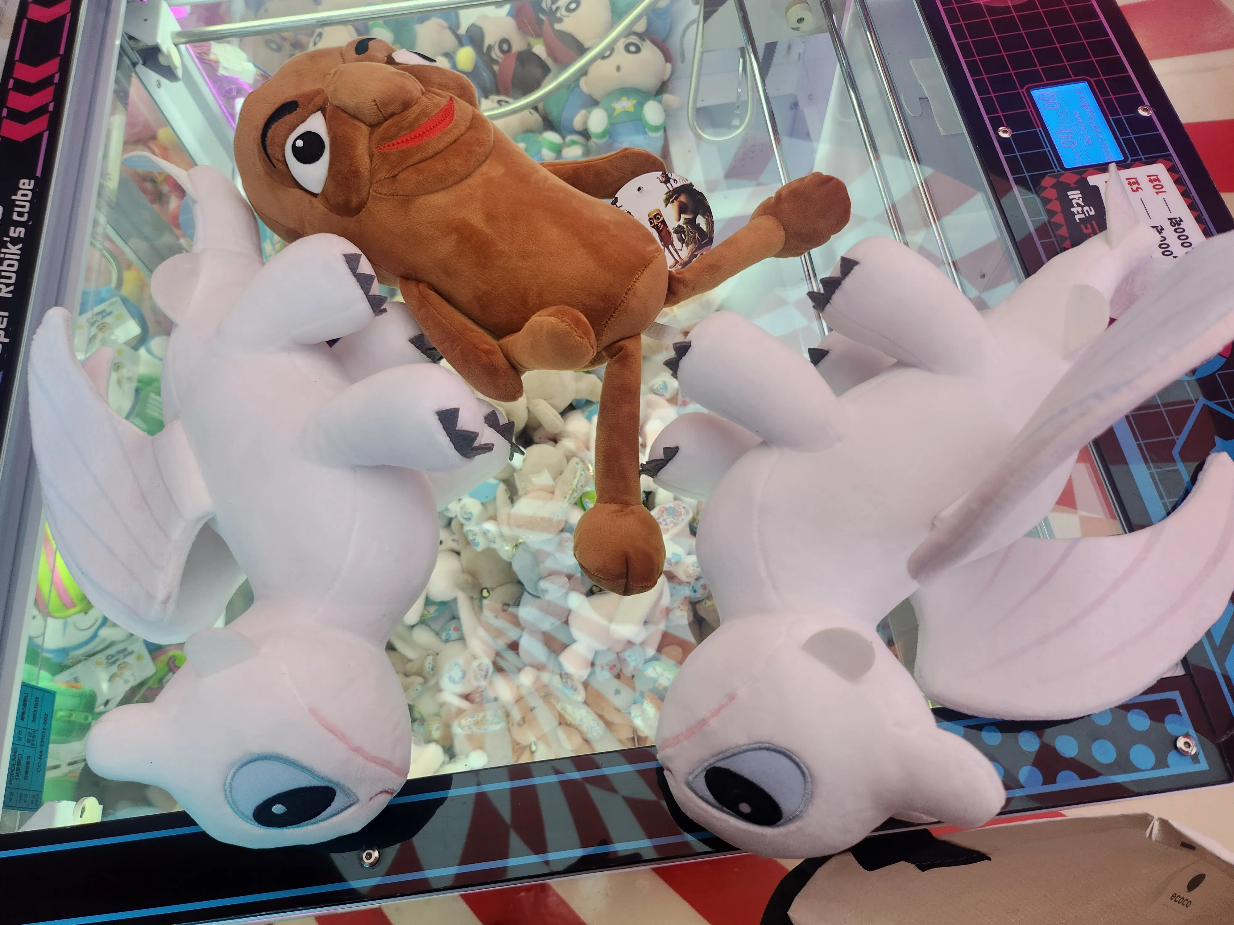 20250618_220608.jpg.webp