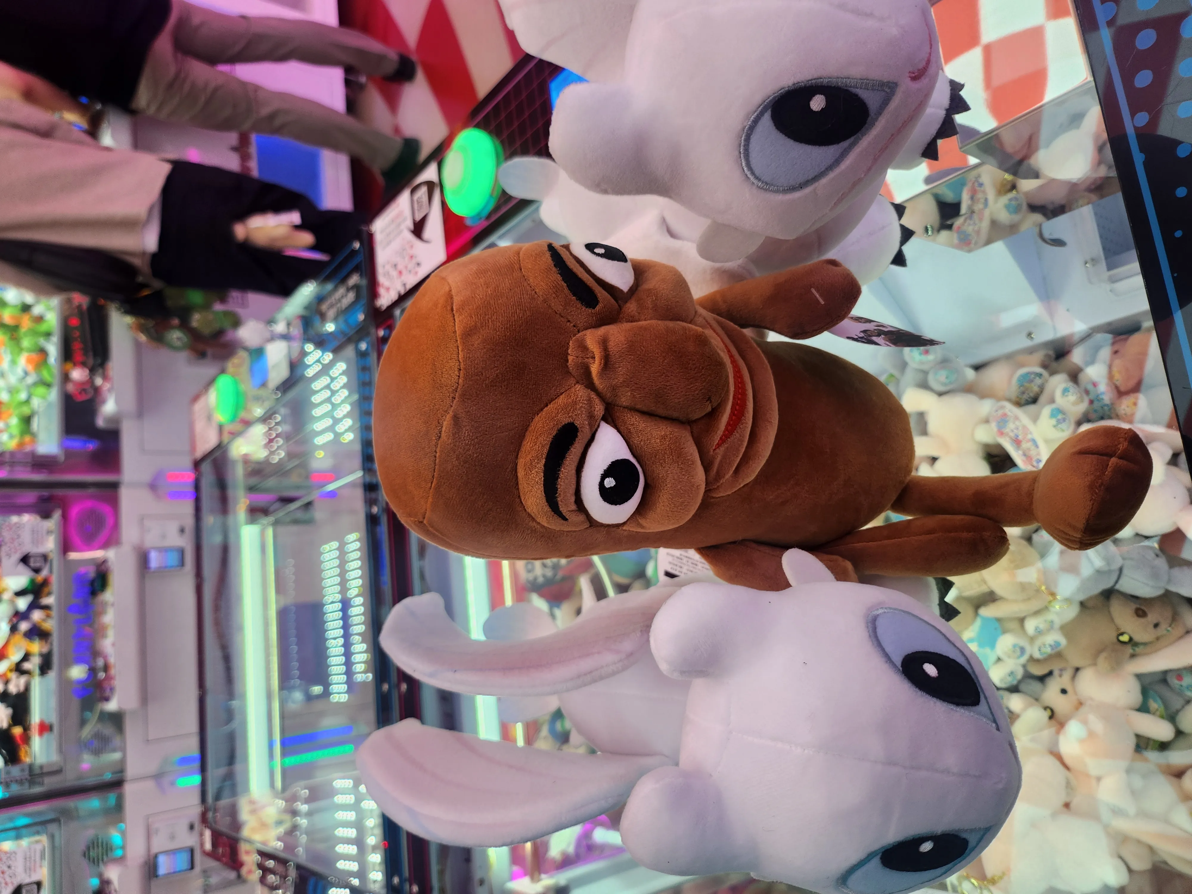 20250618_220554.jpg.webp