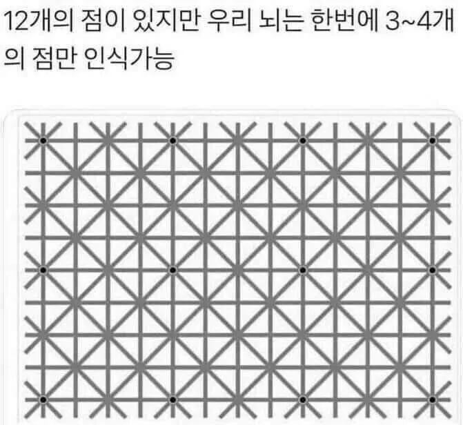 3551663217_anlxVpvf_BuOmcIzw6o20345U.jpeg.webp