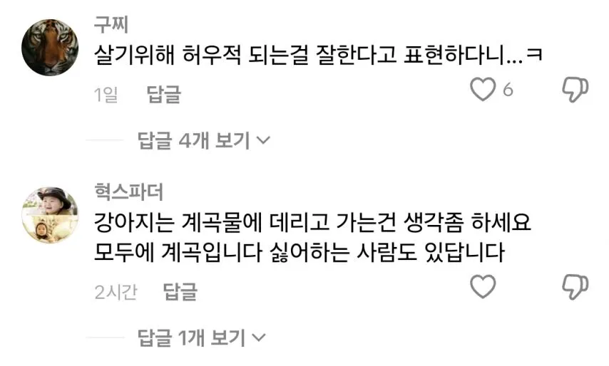 1995129188_mYsS3tAE_cJ7qk5g4evinzCfF.jpg.webp
