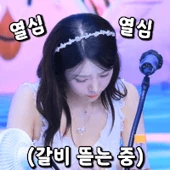 아이콘