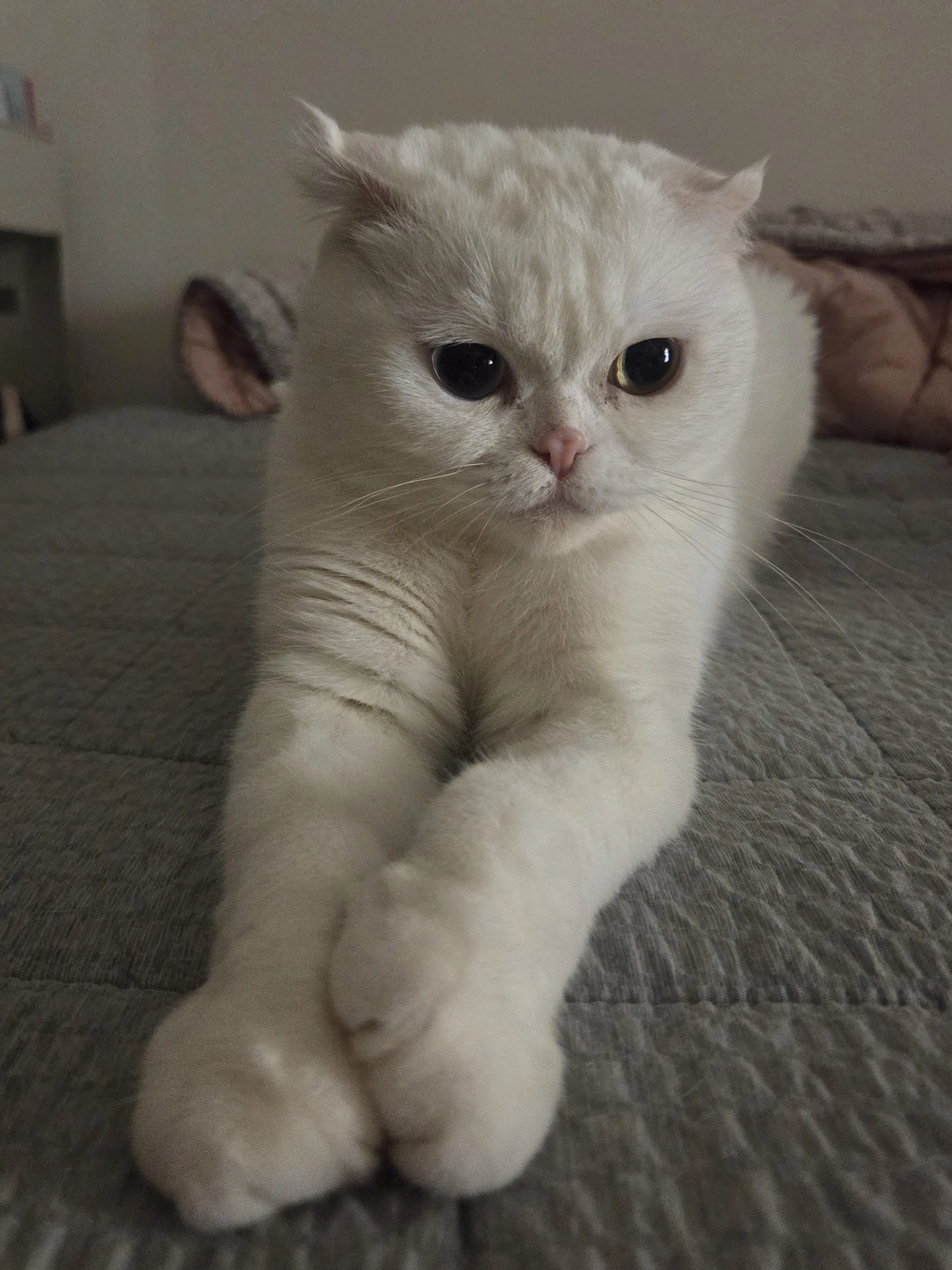 20250823_015507.jpg.webp