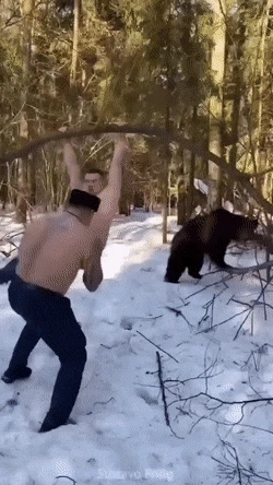 i013239593382.gif.webp