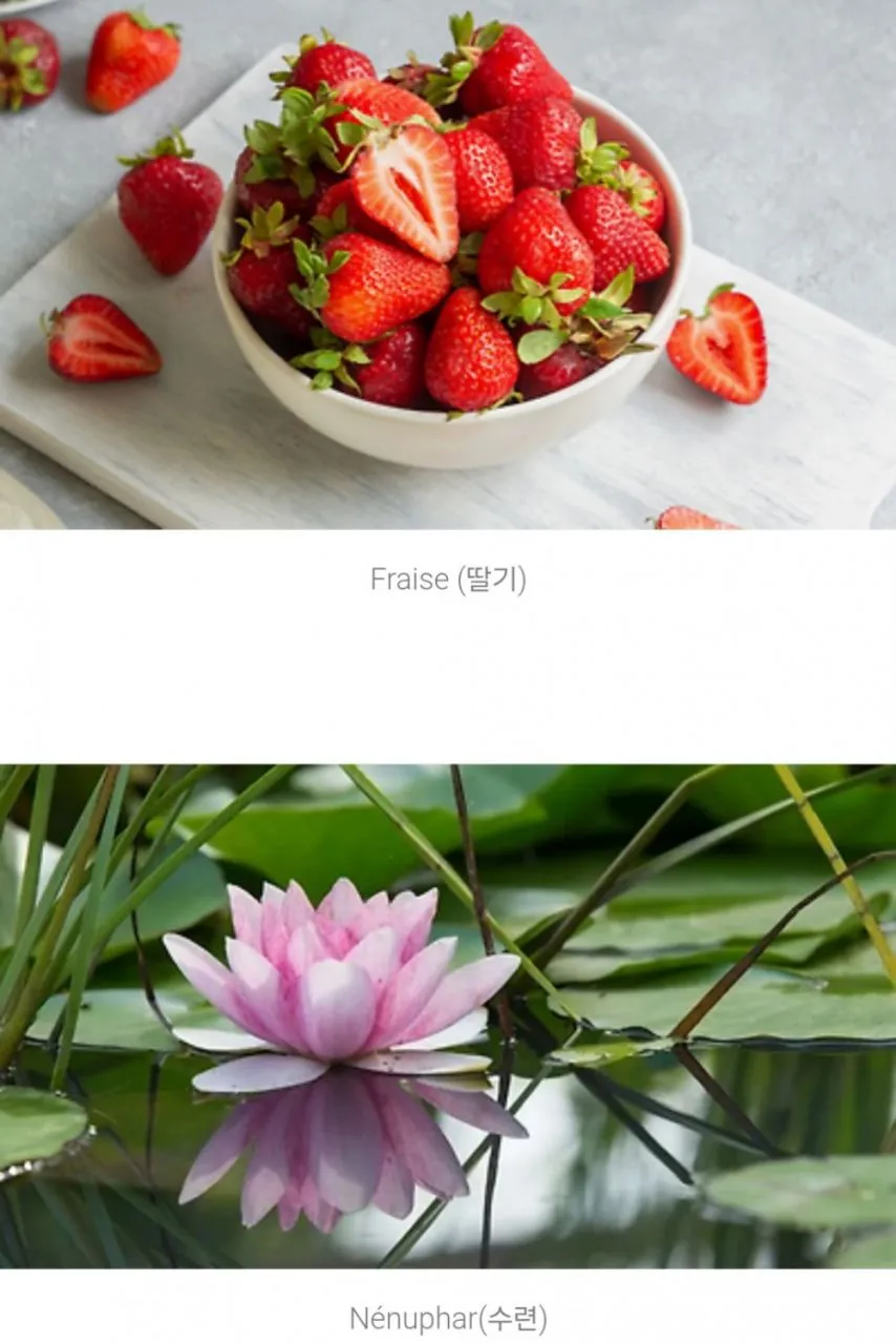 1286761104_GuA0jBda_zPNIQ7mWTMSw8r2q.jpg.webp