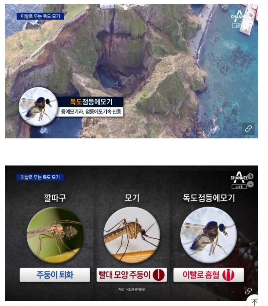 2041234985_aKx7bUcW_hpIqFMRdrn1i5sTN.png.webp