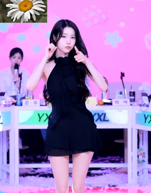 24눈찢보1055.gif.webp