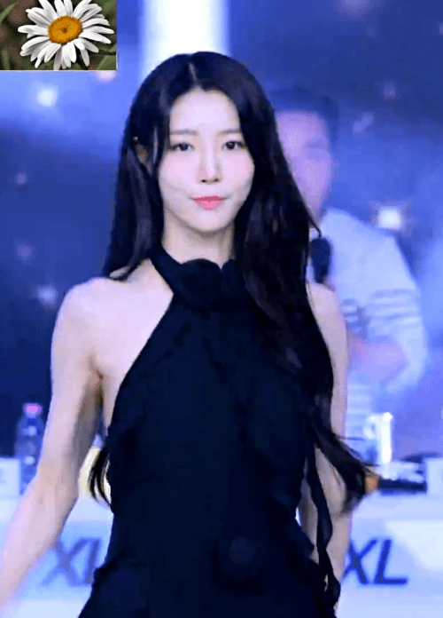 9입사보10232.gif.webp