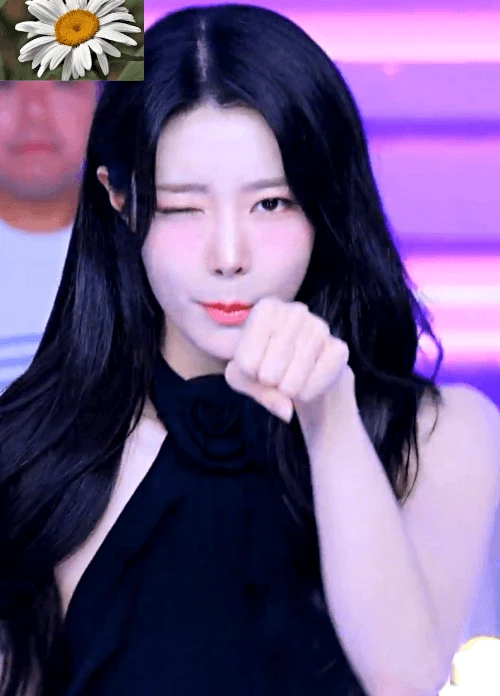10리연화1000.gif.webp