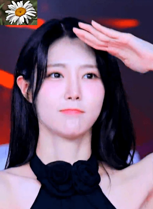 11하루사리요1810.gif.webp