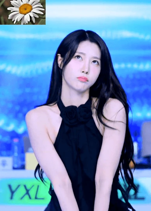 20빵웃리1447.gif.webp