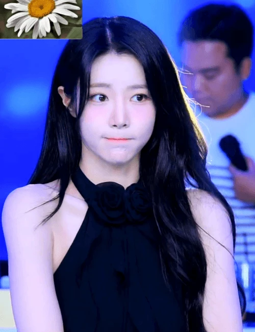 4리크로1354.gif.webp