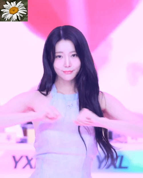 4입사보1542.gif.webp