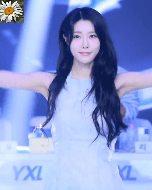 3입사보1353.gif.webp