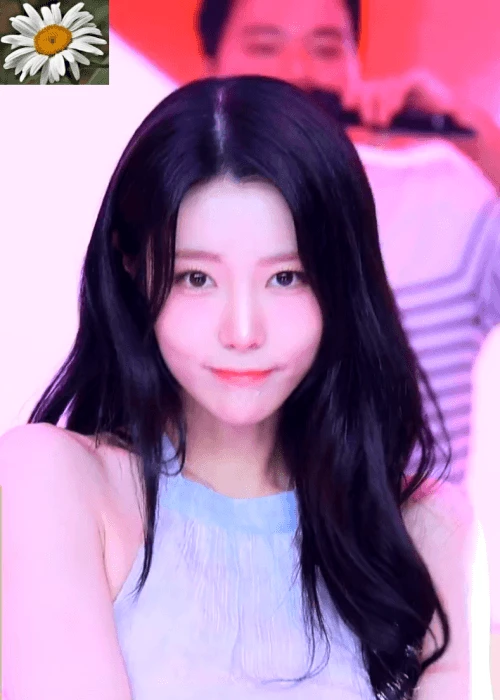 12구마1142.gif.webp