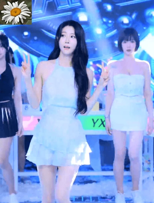 5해먹5000.gif.webp
