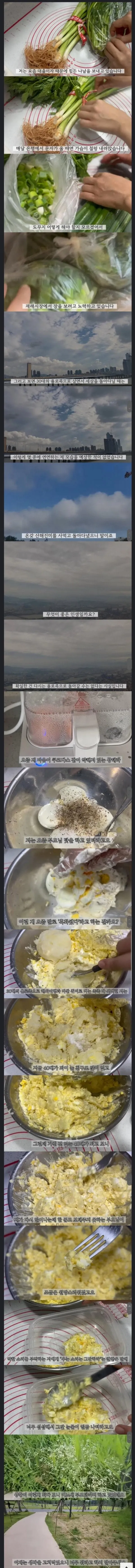 3555410024_cfXTGnwF_DjV8M1aYJl7USydr.jpeg.webp