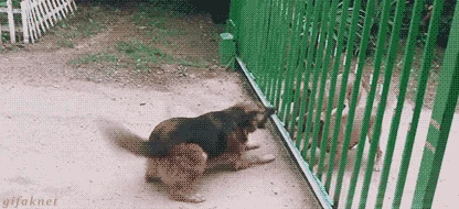 i013240290354.gif.webp
