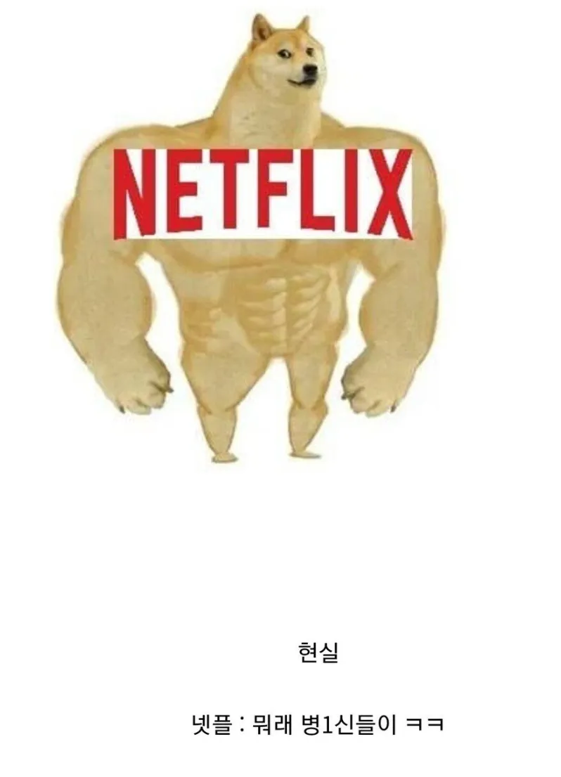 2041234985_qShimjc6_72yR8BsPdeft3XOa.png.webp