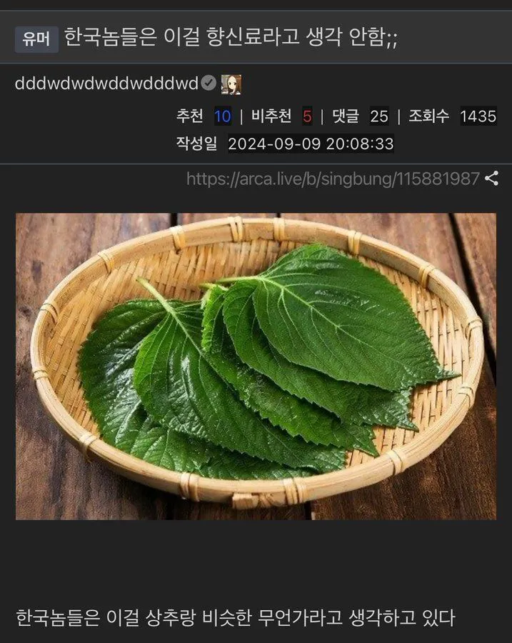 1028957059_TUodRPNx_DceAsfWC4Q9Kl1YF.jpeg.webp