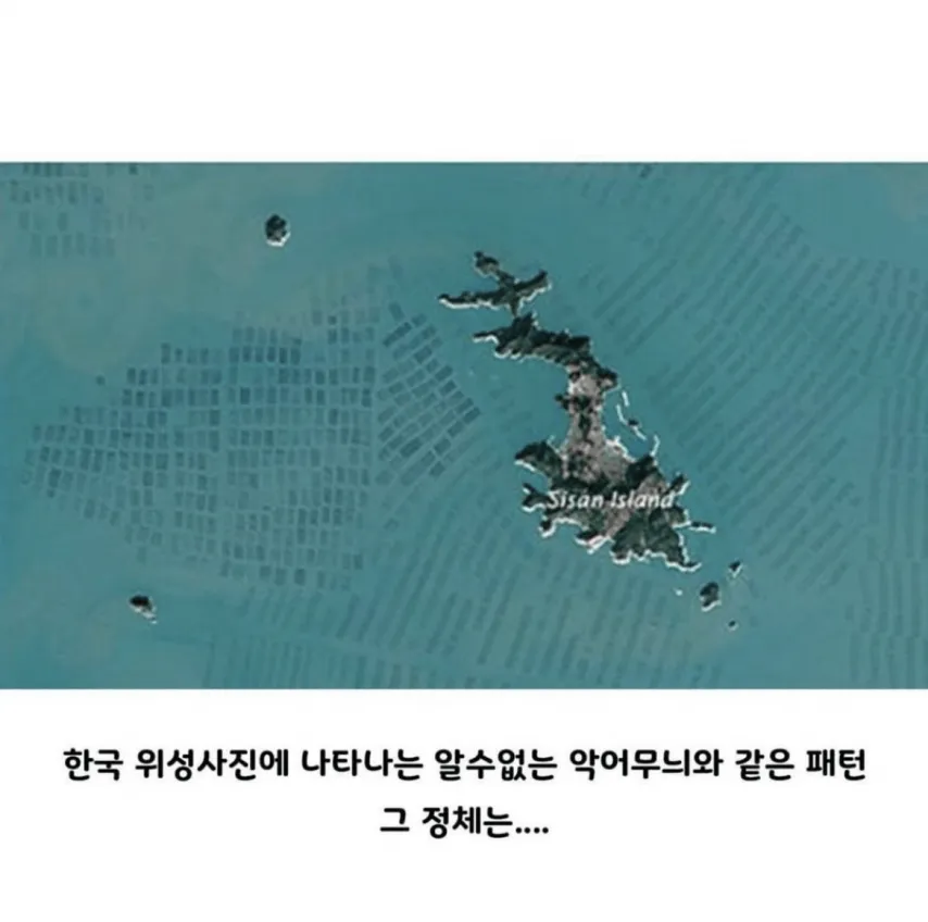 Internet_20250917_075427_3.png.webp