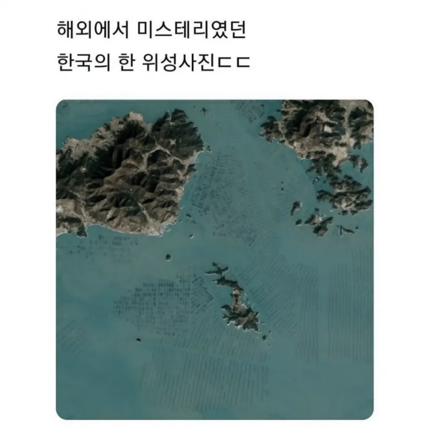 Internet_20250917_075427_1.png.webp