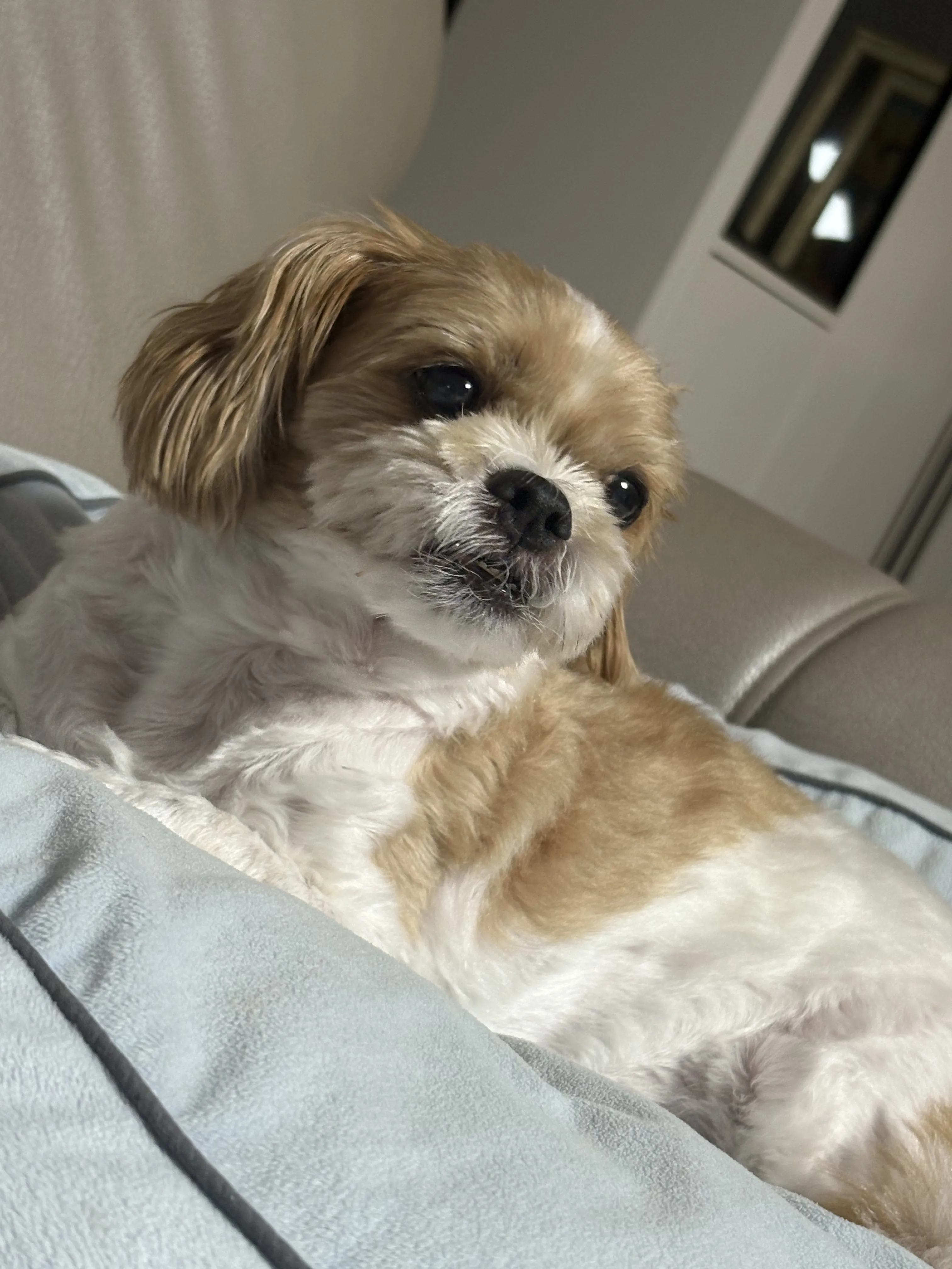 KakaoTalk_20250921_201609245_03.jpg.webp