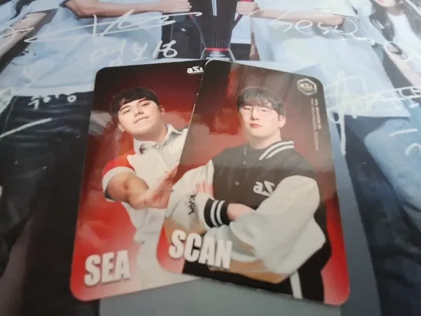 YXL_SeaScan.jpg.webp