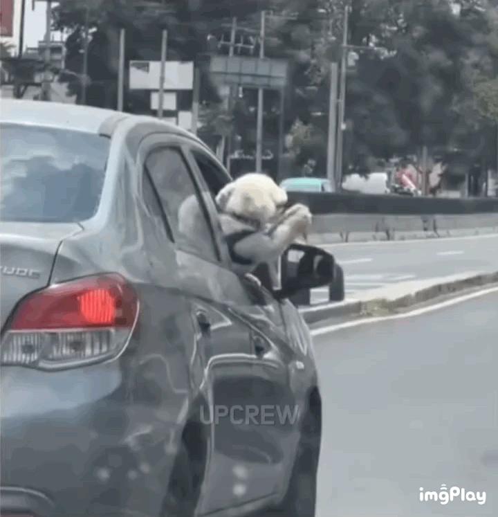 IMB＿xS5pv9.gif.webp