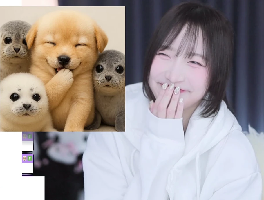 개죽이.webp