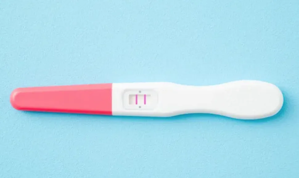 스크린샷 2026-02-28 오전 11.12.03.png.webp