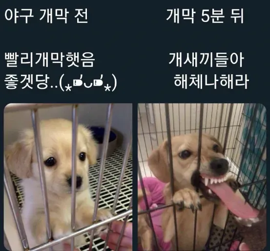 1778059399479.png.webp