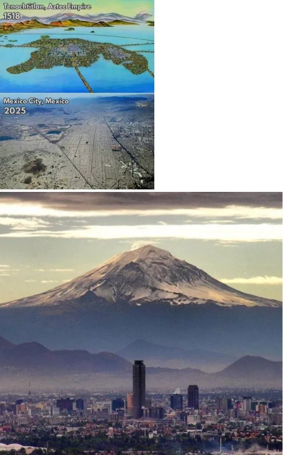 22.png.webp