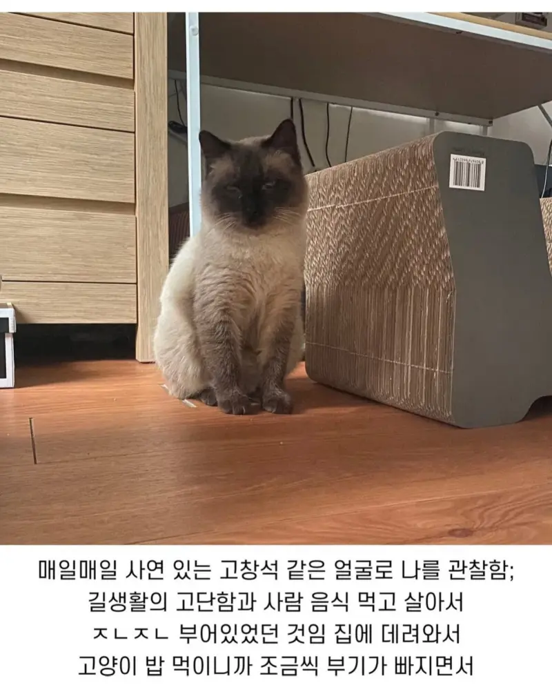 thumb (18).webp