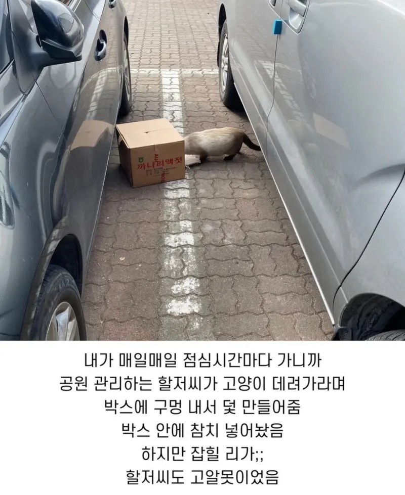 thumb (10).webp