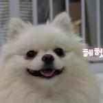 [NS]ㅎrㄴ¡